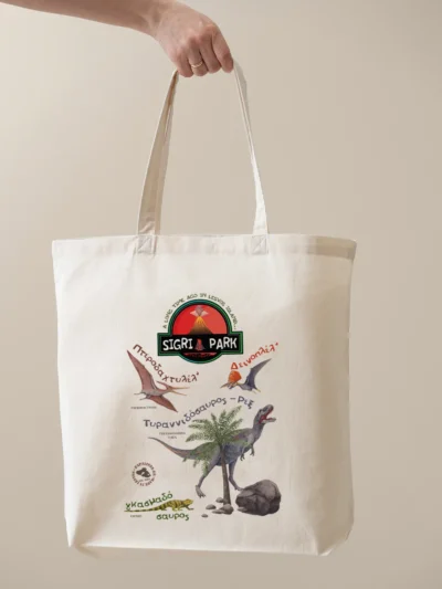 τσάντα sigri park