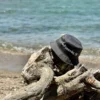 αδειανος hat grey